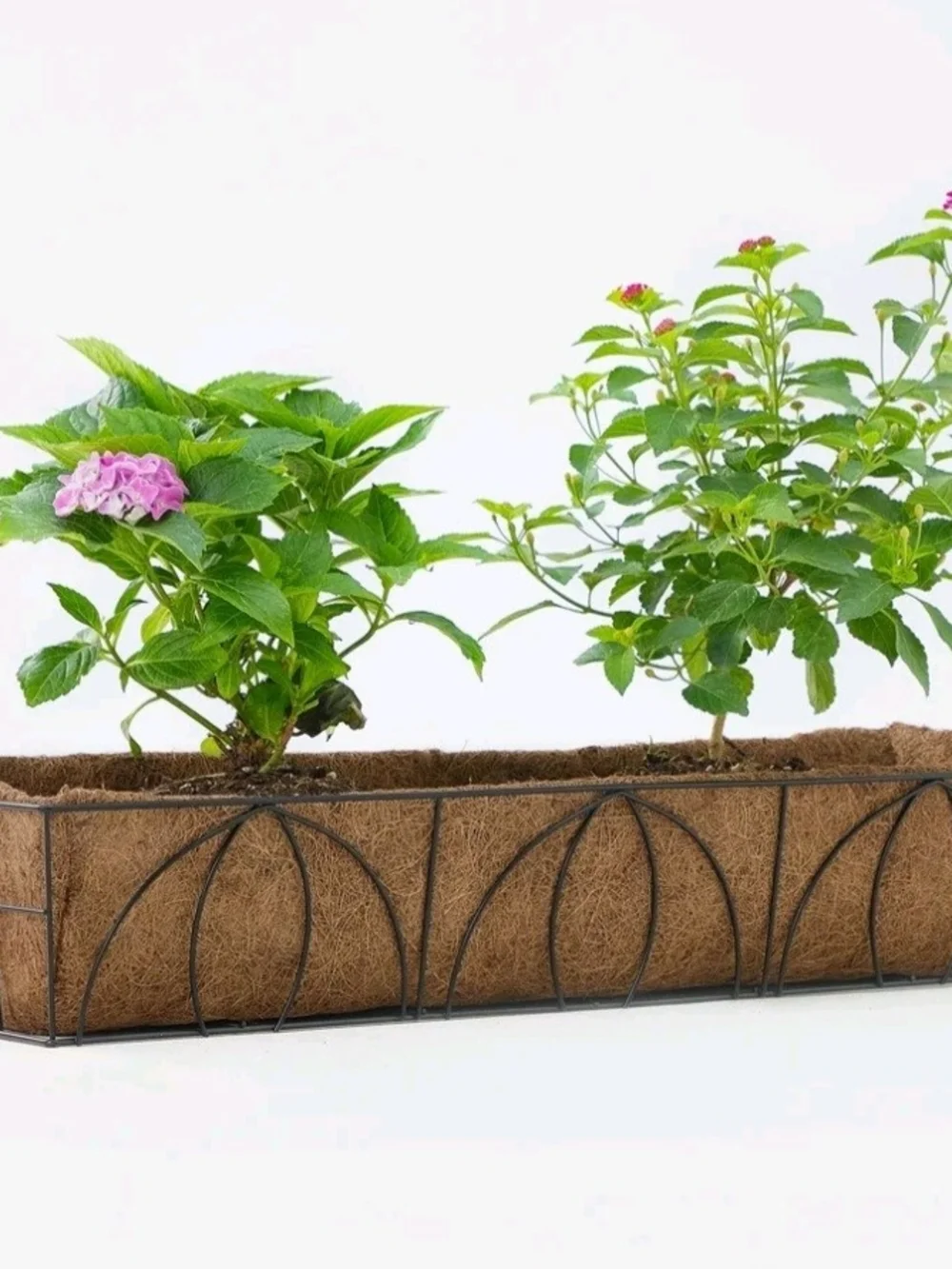 Decorative Metal Window Box Planter with Coconut Coir Liner - Brown